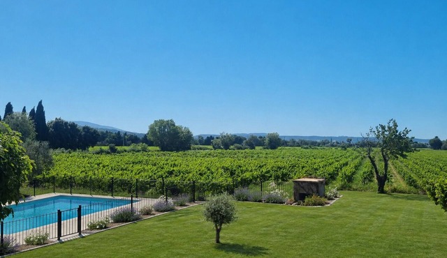 LM Cottage in the Heart of Truffle Country and Vineyards