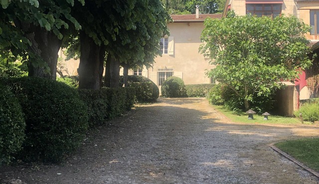 Property Image