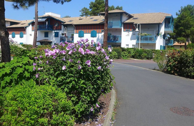 40 m² Apartment ∙ 1 bedroom ∙ 3 guests