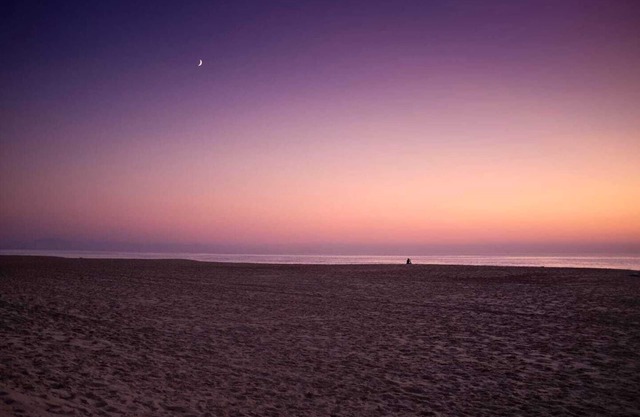The Beach 