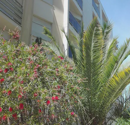 Charming two rooms near the beach and the center
