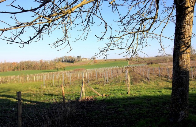 Gîte Laulerie - Périgord Pourpre