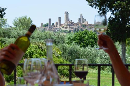 Tenuta Guardastelle Agriturismo Vineyard 
