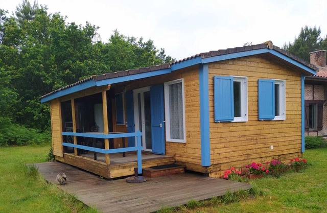 Vrbo Property 