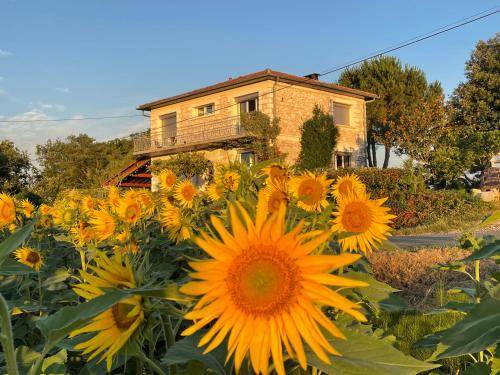 Xaintrailles Bed & Breakfast | 16 m² Bed and breakfast ∙ 2 guests