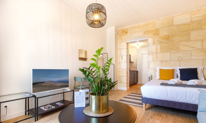 Bordeaux Sud Apartment | 20 m² Apartment ∙ 1 bedroom ∙ 2 guests
