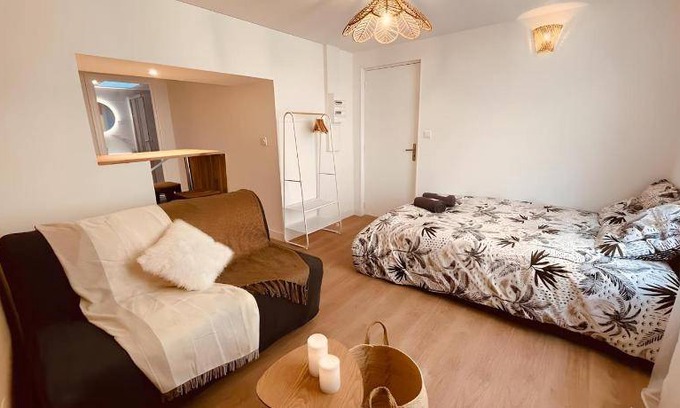 Centre Ville Apartment | 25 m² Apartment ∙ 1 bedroom ∙ 4 guests