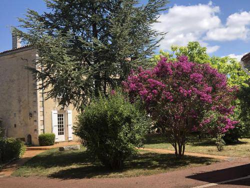Coulonges Bed & Breakfast | 29 m² Bed and breakfast ∙ 2 guests