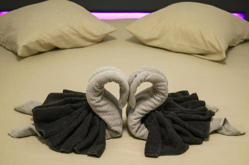 Les Olives Apartment | 35 m² Apartment ∙ 1 bedroom ∙ 4 guests