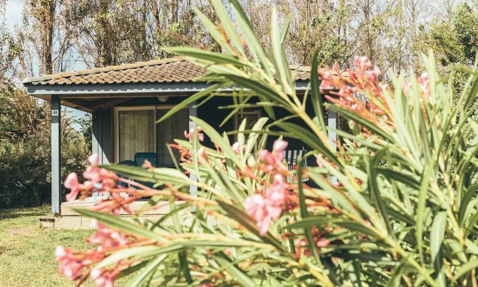 Saint-Denis-d'Oleron Ski Chalet | 35 m² Chalet ∙ 2 bedrooms ∙ 4 guests