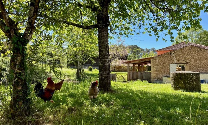 Capdrot House | 35 m² House ∙ 2 guests