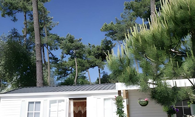 Ronce-les-Bains Resort | 36 m² Resort ∙ 3 bedrooms ∙ 8 guests
