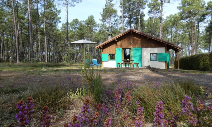 Callen House | 57 m² Gîte ∙ 2 bedrooms ∙ 4 guests