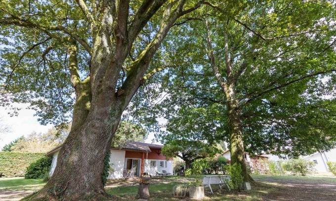 Taller House | 85 m² Gîte ∙ 3 bedrooms ∙ 6 guests