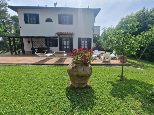 Livorno Apartment | Campo Al Lupo