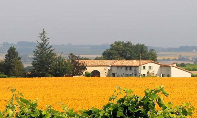 Leoville House | *Escape to breath-taking views and the gentle Charente-Maritime climate*