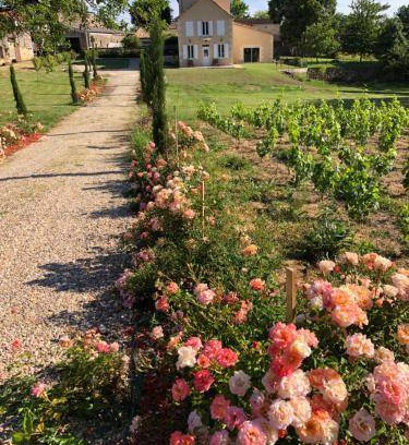 Saint-Philippe-dAiguille House | 72 m² House ∙ 3 guests