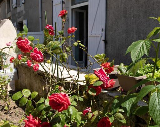 Poitiers House | The Pretty Bucolic House