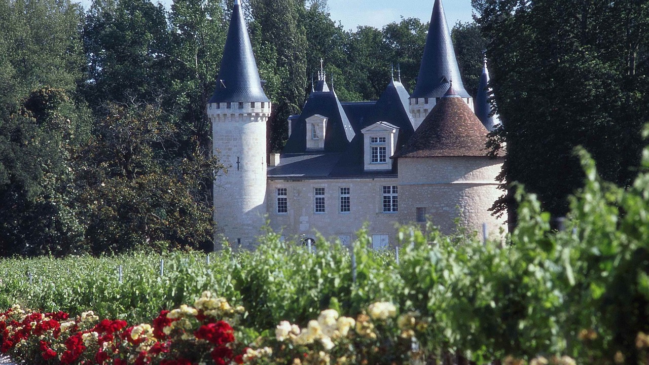 Photo of Buildings in Merignac