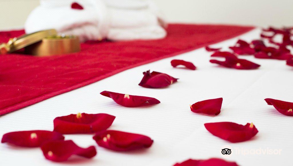 Photo of Bedroom in Cannes City Centre