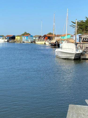 Photo of Others in Mornac-sur-Seudre