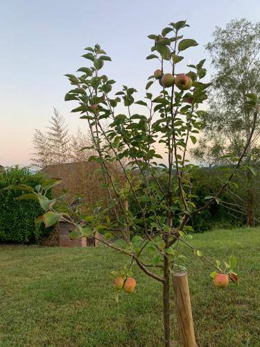 Photo of Outdoor in Lagor