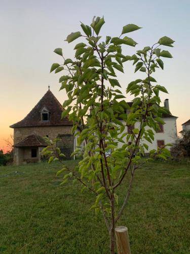 Photo of Outdoor in Lagor