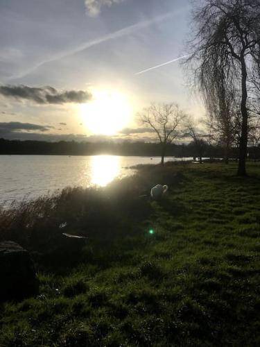 Photo of Others in Saint-Quentin-sur-Charente