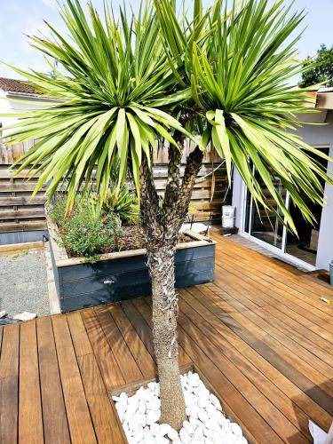 Photo of Patio Balcony in Saint-Jean-d'Illac