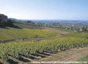 Photo of Others in Bergerac