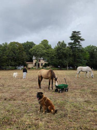 Photo of Others in Saint-Benoit