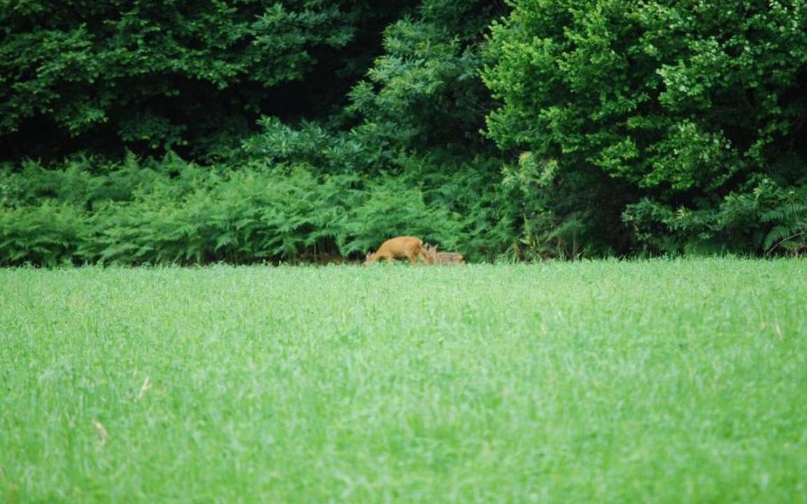 Photo of Others in Val de Louyre et Caudeau