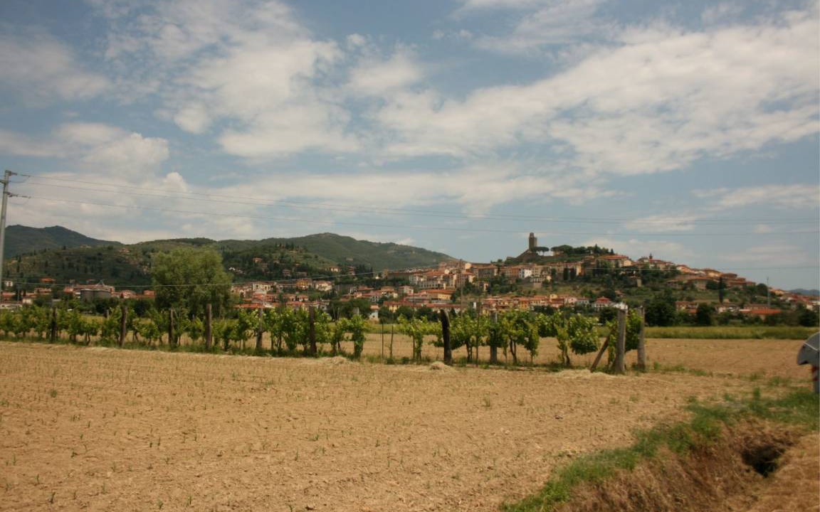 Photo of Others in Podere Viti