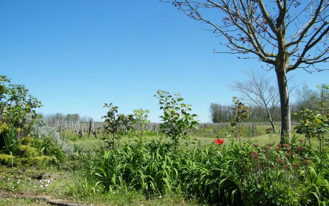 Photo of Others in Puisseguin