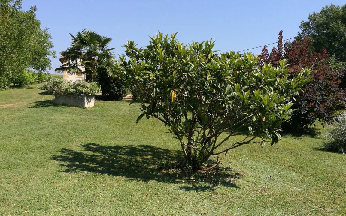 Photo of Outdoor in Daglan