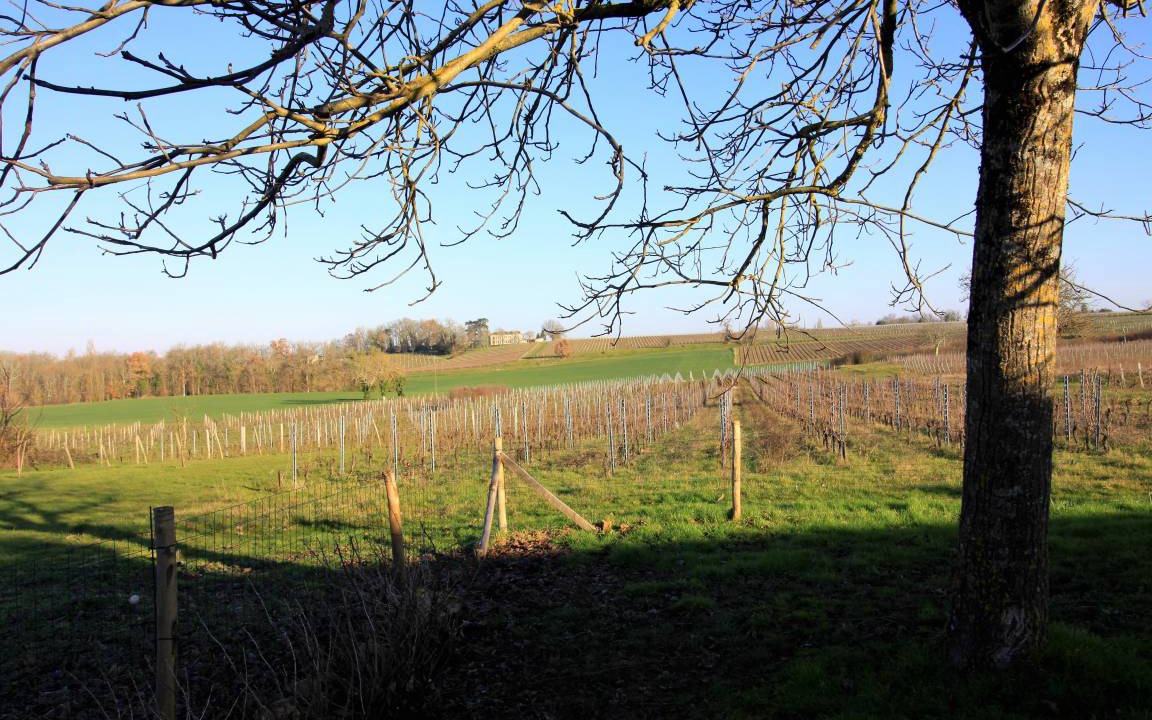 Photo of Others in Saint-Meard-de-Gurcon