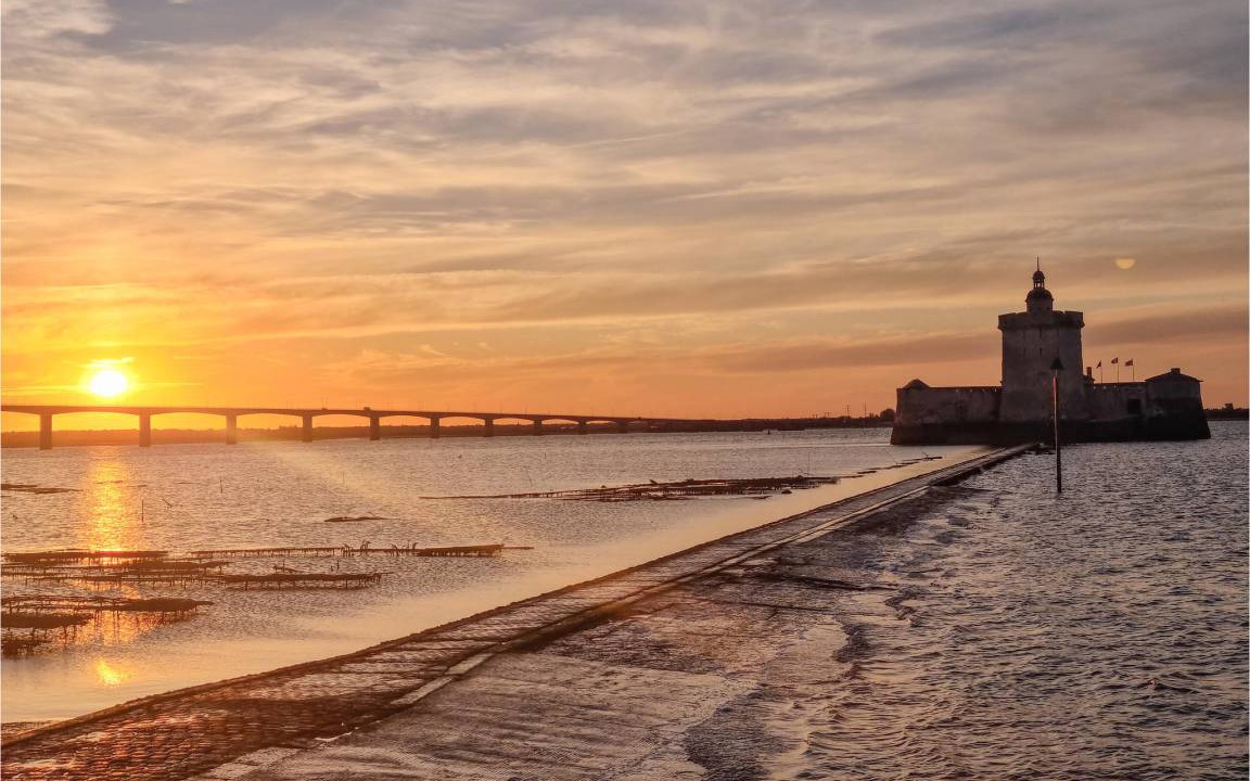 Photo of Others in Mortagne-sur-Gironde