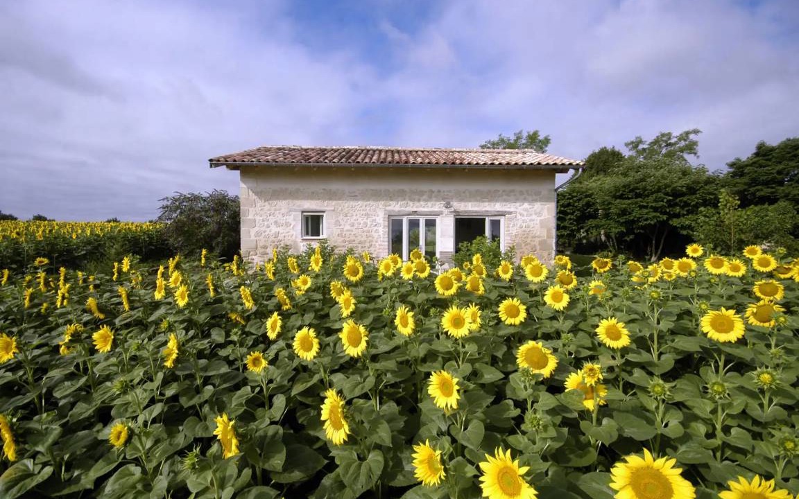 Photo of Others in Birac-sur-Trec