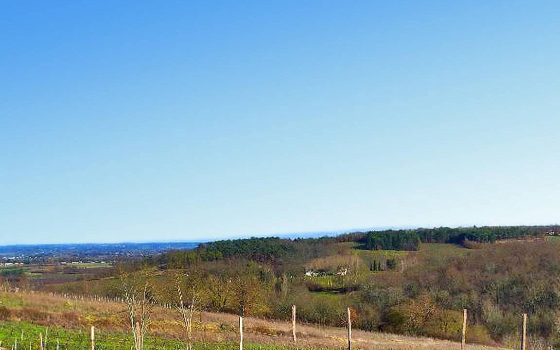 Photo of Outdoor in Saussignac