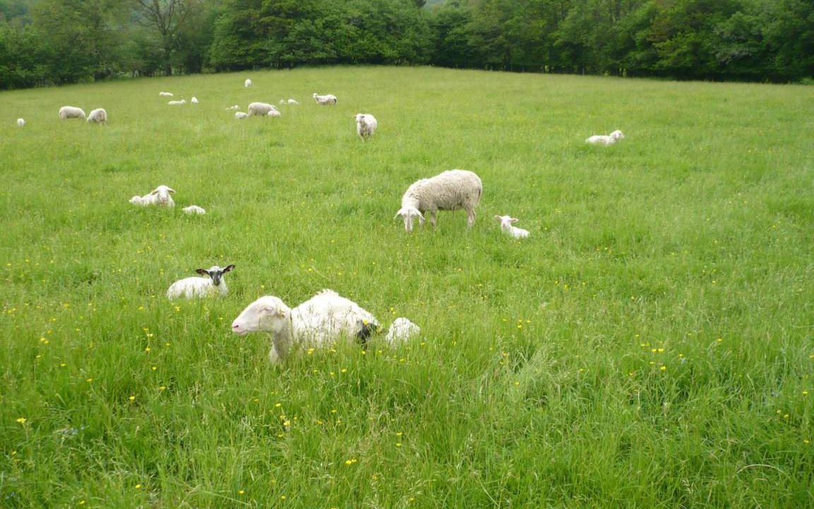 Photo of Others in Tarnac