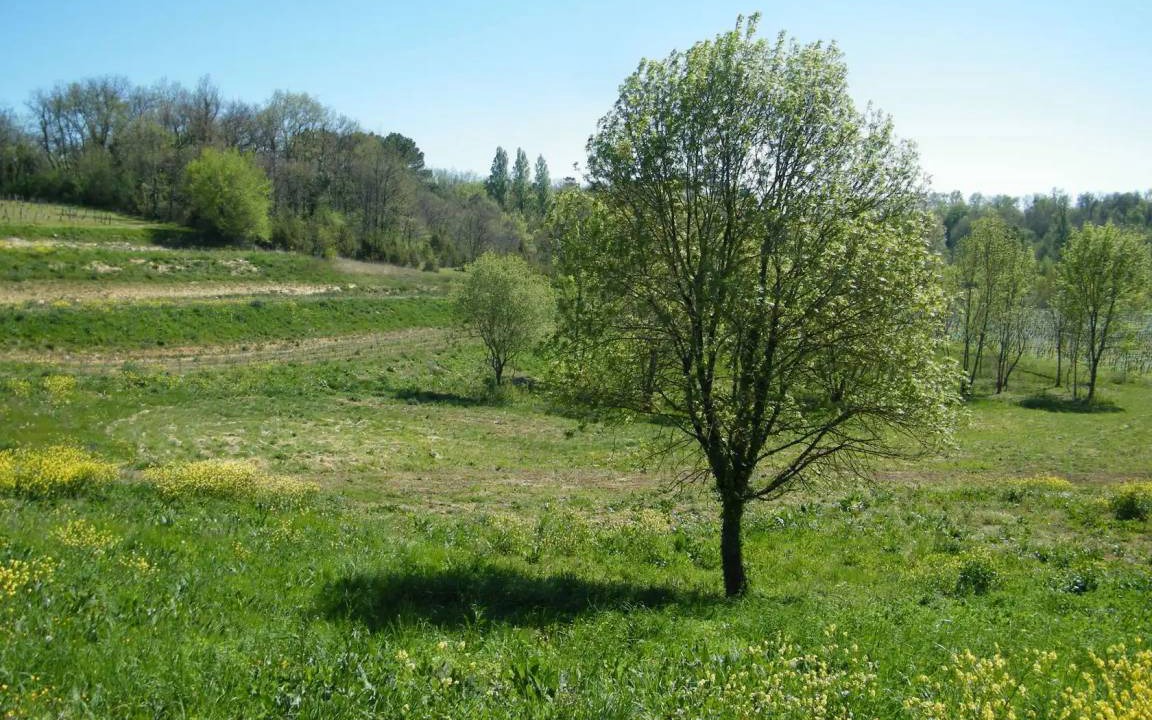 Photo of Others in Puisseguin