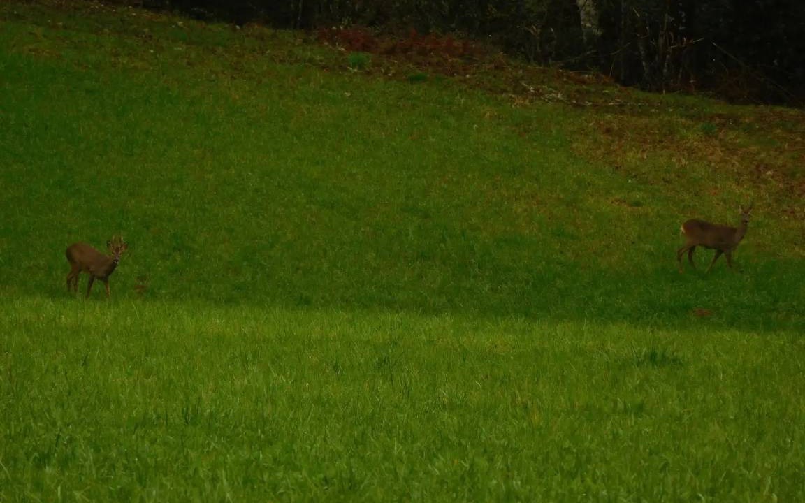 Photo of Others in Palisse