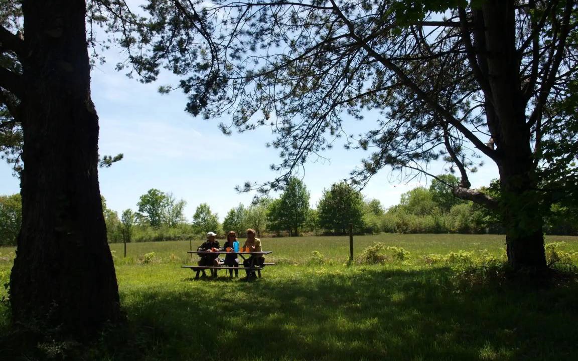 Photo of Others in Peyzac-le-Moustier