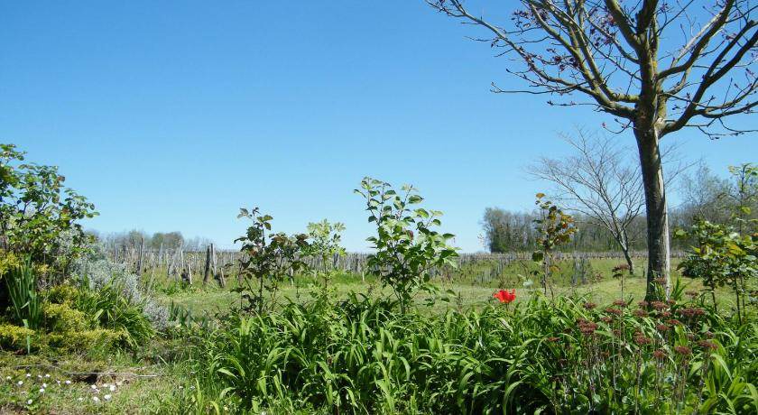 Photo of Outdoor in Puisseguin