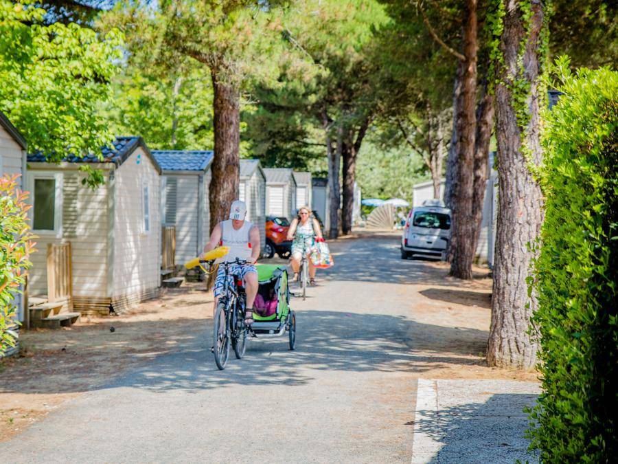 Photo of Others in Le Bois-Plage-en-Re