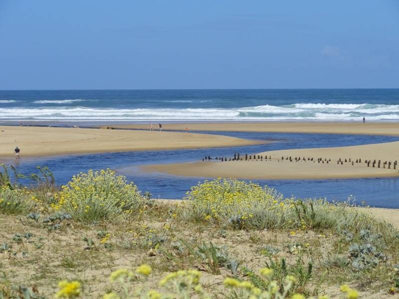 Photo of Others in Moliets-et-Maa