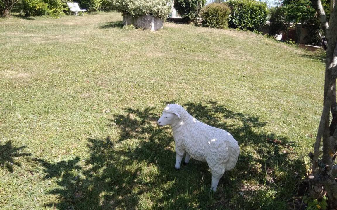 Photo of Outdoor in Daglan