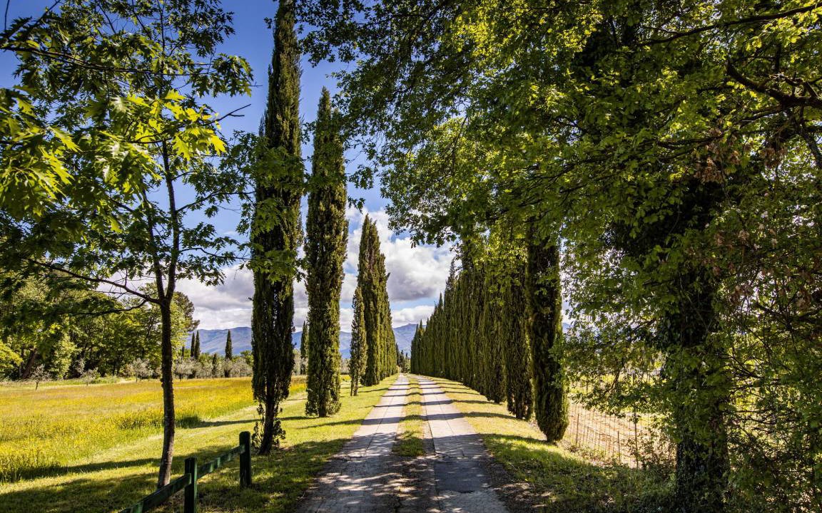 Photo of Others in Figline e Incisa Valdarno