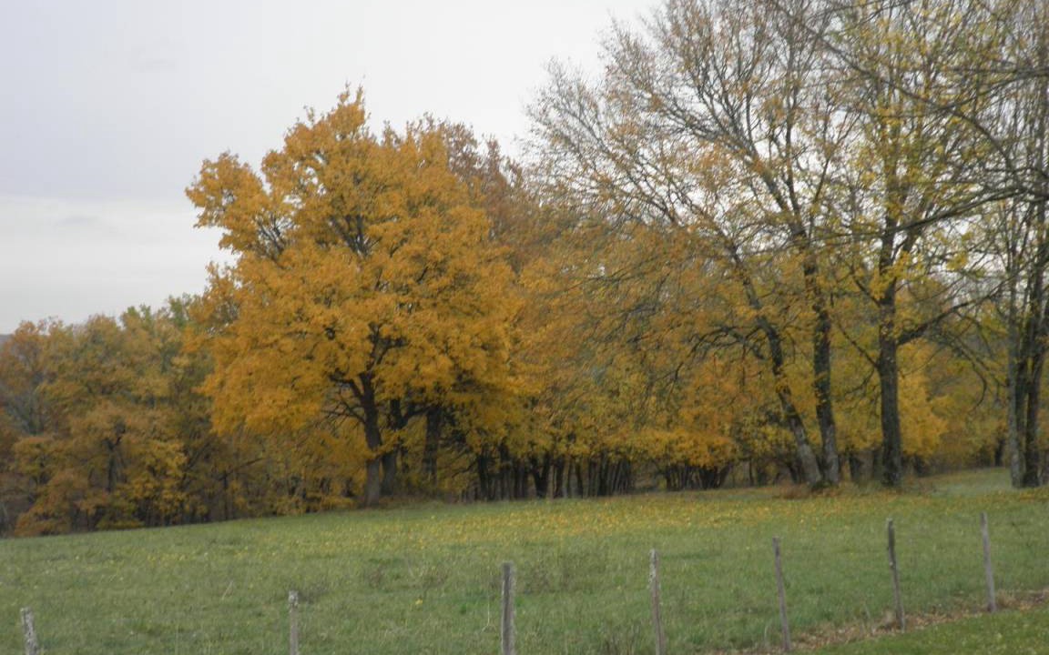 Photo of Others in Saint-Marcel-du-Perigord