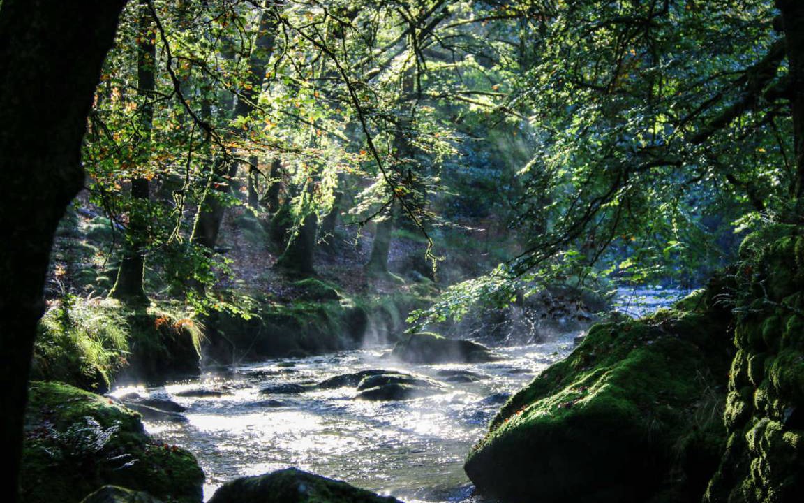 Photo of Others in Gimel-les-Cascades